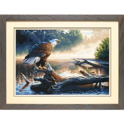 PEINTURE À NUMÉROS - GR P-N  AIGLE SUR BRANCHE 20X14'' (GRANDE)